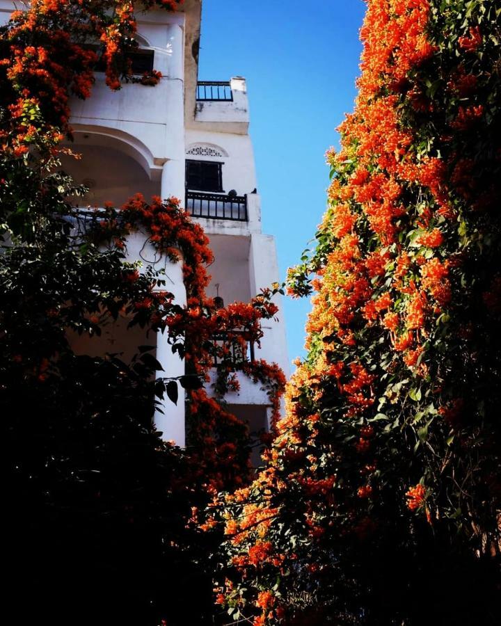 Dia Homestay Pushkar Exterior photo