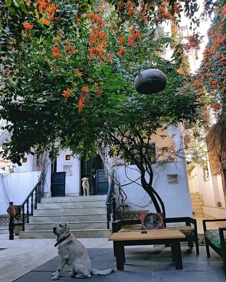 Dia Homestay Pushkar Exterior photo